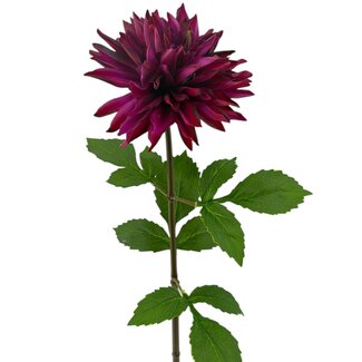 Arti Flora Dahlia artificial flower | Colour: Fuchsia | Length ± 70 centimetre | Per piece