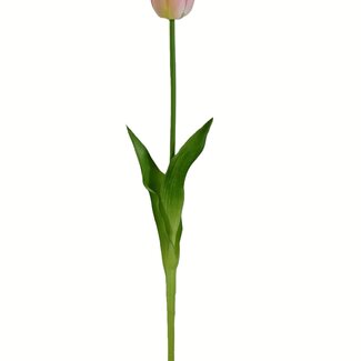 Arti Flora Tulpe Kunstblume | Farbe: Hellrosa | Tulipa Kunstblumen | Länge ± 45 centimeter | Pro Stück