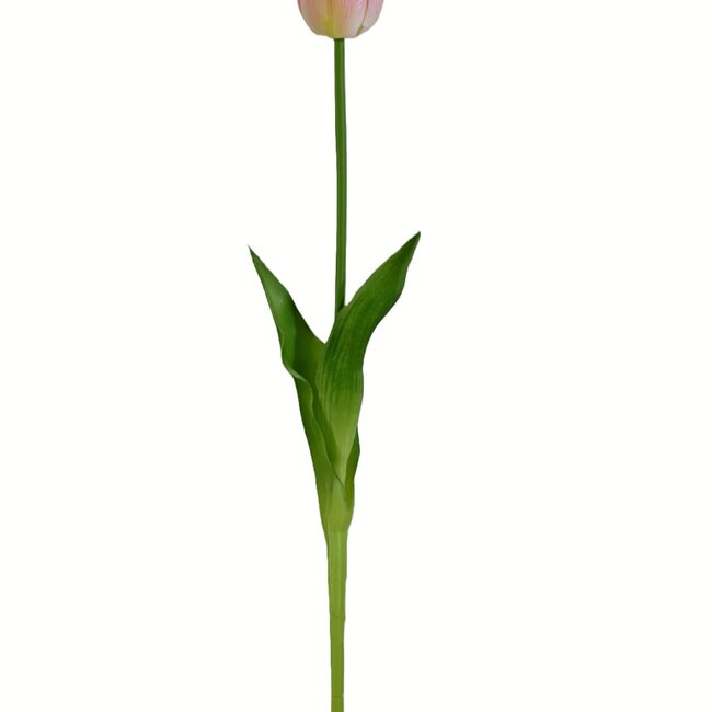 Tulip Artificial Flower | Colour: Light Pink | Tulipa artificial flowers | Length ± 45 centimetre | Per piece