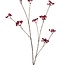 Berry Stem Artificial Flower | Colour: Red | Length ± 110 centimetre | Per piece
