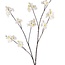 Cherry Blossom Artificial flower | Colour: Natural White | Length ± 115 centimeter | Per piece