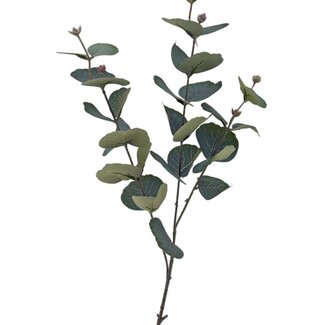 Arti Flora Eucalyptus Branch Artificial Flower | Colour: Green | Length ± 70 centimeter | Per piece