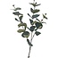 Eucalyptus Branch Artificial Flower | Colour: Green | Length ± 70 centimeter | Per piece