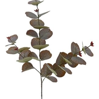Arti Flora Eucalyptus Branch Artificial Flower | Colour: Bordeaux red | Length ± 70 centimeter | Per piece