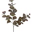 Eucalyptus Branch Artificial Flower | Colour: Bordeaux red | Length ± 70 centimetre | Per piece