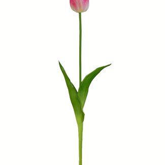 Arti Flora Tulp Kunstbloem | Kleur: Roze | Tulipa kunstbloemen | Lengte ± 45 centimeter | Per kunstbloem