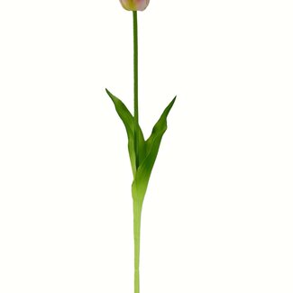 Arti Flora Tulp Kunstbloem | Kleur: Paars | Tulipa kunstbloemen | Lengte ± 45 centimeter | Per kunstbloem