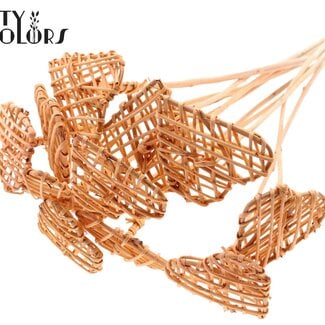 QC Rattan Lata Heart on stick | Colour: Frosted Salmon-coloured | Flat pick | Length ± 50 centimetre | Per 10 picks