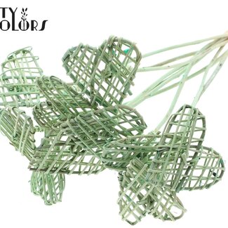 QC Rattan Lata Hart on stok | Colour: Frosted Mint green | Flat plant stake | Length ± 50 centimetre | Per 10 plant stakes