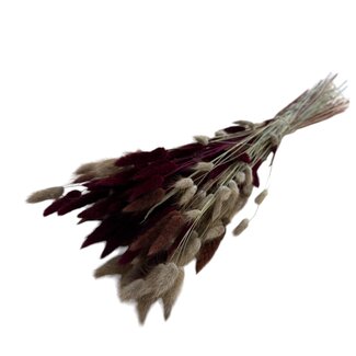 Casa Alegria Bouquet of dried flowers Lagurus "Bordeaux Naturel Mix" | Length ± 70 centimetre | with dark red and natural dried flowers