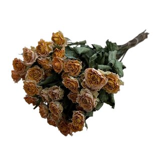 DriedRoses.com Spray rose “Peach Fuzz” | Colour: Orange | Length ± 50 centimetre | Per 10 roses