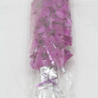 Freshy Dendrobium Orchid Madam Large | Colour: Purple | Length ± 45 centimeter | Per 10 stems fresh flowers