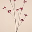 Bessen Tak Kunstbloem | Kleur: Rood | Lengte ± 110 centimeter | Per tak