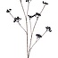 Beerenzweig Kunstblume | Farbe: Schwarz | Länge ± 110 centimeter | Pro Stück