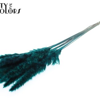 QC Gedroogde Pampas Pluimen | Kleur: Turquoise | Lengte 70 centimeter | Pampasgras Droogbloemen | 10 pluimen per bos | Per bos
