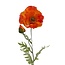 Papaver Somniferum Kunstbloem | Kleur: Oranje | Lengte ± 75 centimeter | Per kunstbloem