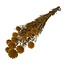 Gedroogde Echinops XL | Kleur: Geel | Kogeldistel Droogbloemen | Lengte ± 65 centimeter | Gewicht 350 gram | Per 10 stelen