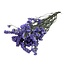 Gedroogde Statice Sinuata | Kleur: Lila Paars | Statice Droogbloemen | Lengte ± 70 centimeter | Gewicht 75 gram | Per bos