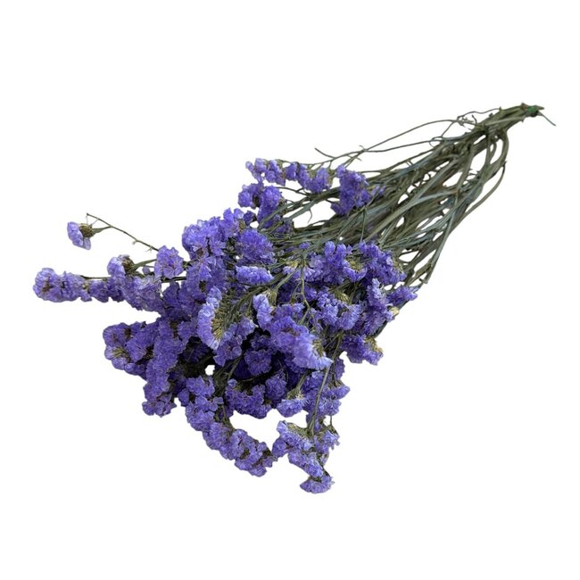 Gedroogde Statice Sinuata | Kleur: Lila Paars | Statice Droogbloemen | Lengte ± 70 centimeter | Gewicht 75 gram | Per bos