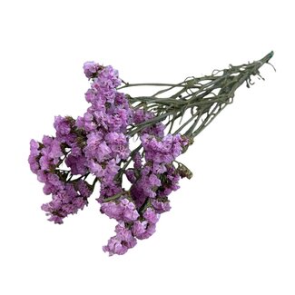 Dutch Dried Gedroogde Statice Sinuata | Kleur: Roze | Statice Droogbloemen | Lengte ± 70 centimeter | Gewicht 75 gram | Per bos