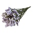 Gedroogde Statice Sinuata | Kleur: Lila Paars | Statice Droogbloemen | Lengte ± 70 centimeter | Gewicht 75 gram | Per bos
