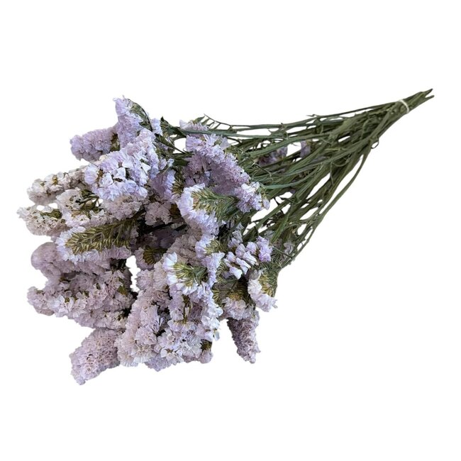 Gedroogde Statice Sinuata | Kleur: Lila Paars | Statice Droogbloemen | Lengte ± 70 centimeter | Gewicht 75 gram | Per bos