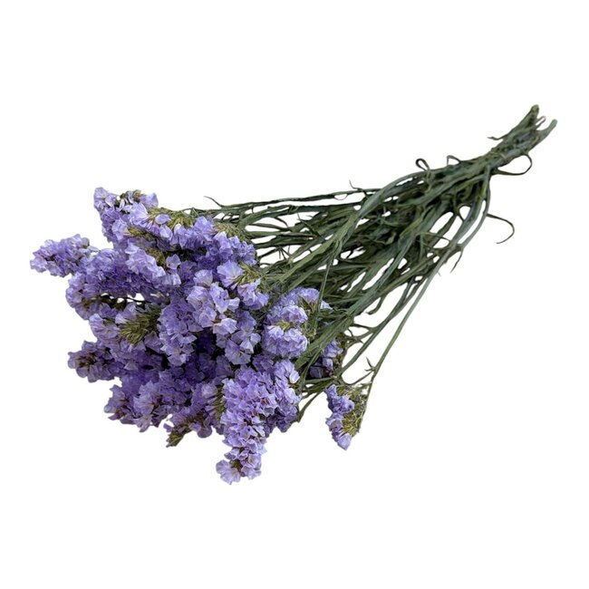 Gedroogde Statice Sinuata | Kleur: Milkapaars | Statice Droogbloemen | Lengte ± 70 centimeter | Gewicht 75 gram | Per bos