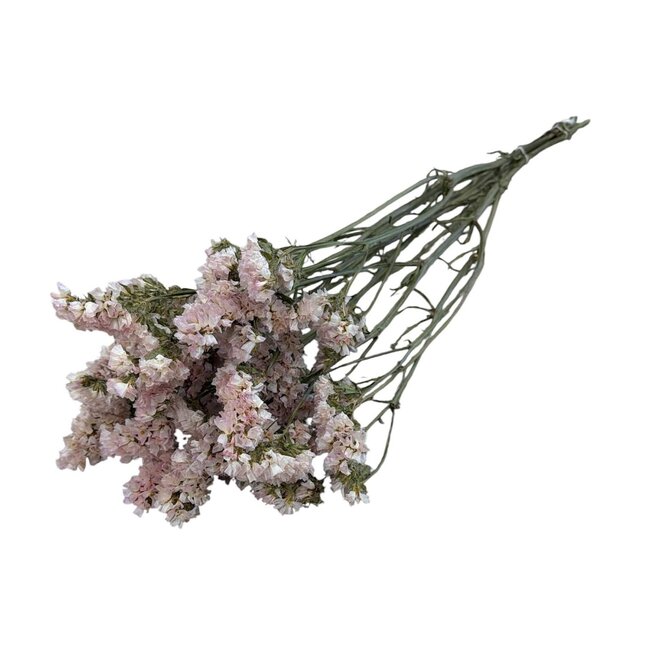 Gedroogde Statice Sinuata | Kleur: Lichtroze | Statice Droogbloemen | Lengte ± 70 centimeter | Gewicht 75 gram | Per bos