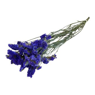 Dutch Dried Gedroogde Statice Sinuata | Kleur: Paarsblauw | Statice Droogbloemen | Lengte ± 70 centimeter | Gewicht 75 gram | Per bos