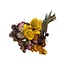 Gedroogde Helichrysum | Kleur: Gemengde Kleuren | Strobloem Droogbloemen | Lengte ± 50 centimeter | Gewicht 100 gram | Per bos