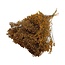 Gedroogde Broom Bloom | Kleur: Donkeroranje | Lengte ± 55 centimeter | Brem Droogbloemen | Gewicht 125 gram | Per bos