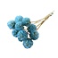 Light blue Dried Scabiosa | Pigeon flower Dried Flowers | Length ± 30 centimetre | 10 stems per bunch | Per bunch
