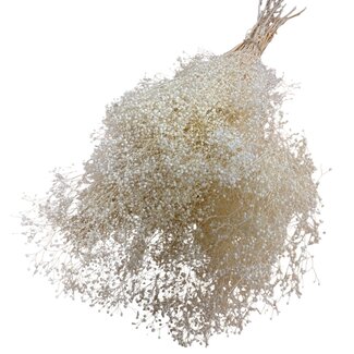 Casa Alegria Gebleekte Gepreserveerde Gypsophila Mini | Kleur: Wit | Gipskruid Droogbloemen | Lengte ± 60 centimeter | Gewicht 100 gram | Per bos