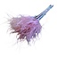 Gedroogd Stipa Vedergras | Kleur: Roze | Stypha Penata Droogbloemen | Lengte ± 50 centimeter | Gewicht 50 gram | Per bos