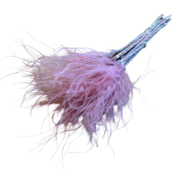 Gedroogd Stipa Vedergras | Kleur: Roze | Stypha Penata Droogbloemen | Lengte ± 50 centimeter | Gewicht 50 gram | Per bos