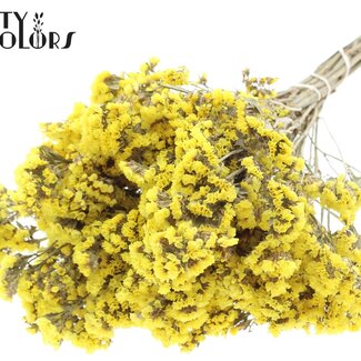 QC Statice Sinuata droogbloemen | Kleur: Natuurlijk Geel | Lengte ± 45 centimeter | Gedroogde Statice | Per bos