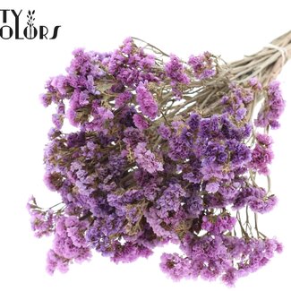QC Statice Sinuata droogbloemen | Kleur: Natuurlijk Paars en Roze | Lengte ± 45 centimeter | Gedroogde Statice | Per bos