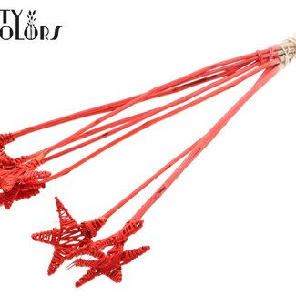 QC Rotan Lata Ster op stok | Kleur: Koraalkleurig | Lata Star Platte bijsteker | Lengte ± 50 centimeter | Per 10 bijstekers