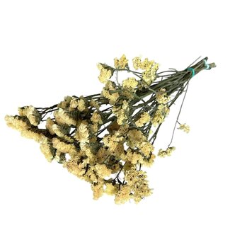 Casa Alegria Gedroogde Statice Sinuata | Kleur: Lichtgeel | Statice Droogbloemen | Lengte ± 70 centimeter | Gewicht 100 gram | Per bos