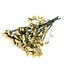 Gedroogde Statice Sinuata | Kleur: Lichtgeel | Statice Droogbloemen | Lengte ± 70 centimeter | Gewicht 100 gram | Per bos