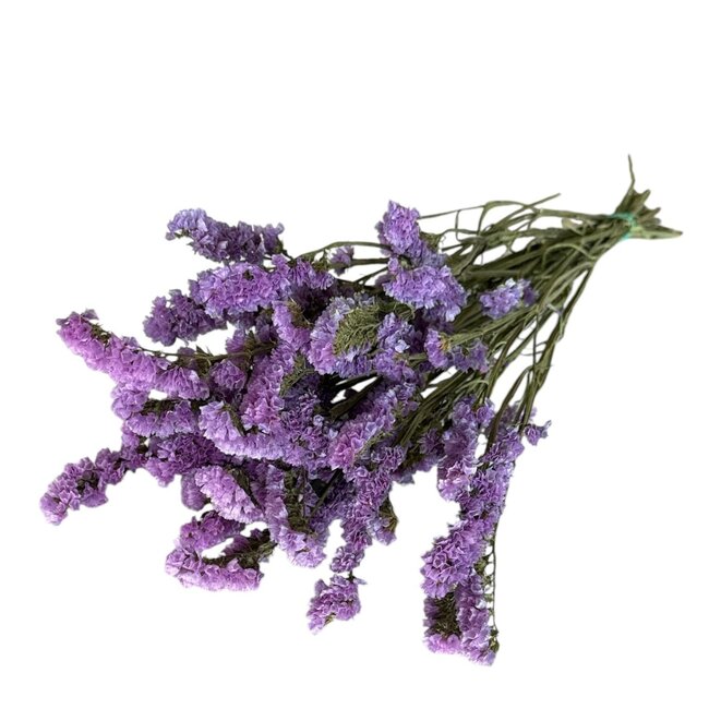 Gedroogde Statice Sinuata | Kleur: Milkapaars | Statice Droogbloemen | Lengte ± 70 centimeter | Gewicht 100 gram | Per bos