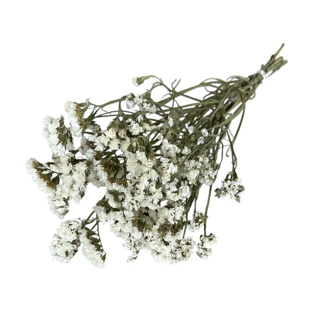 Natural White Dried Statice Sinuata | Statice Dried Flowers | Length ± 70 centimetre | Weight 100 gram | Per bunch