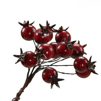 4A Bessen Bijsteker | Kleur: Rood | Natuurlijke Herfstdecoratie | Diameter bes 1.8 centimeter | Per 72 bijstekers