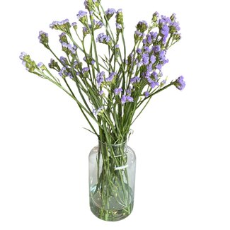 Fresh Lavender-blue Statice Limonium Sinuata | Fresh Flowers | Length ± 70 centimeter | 5 stems per bunch | Per bunch