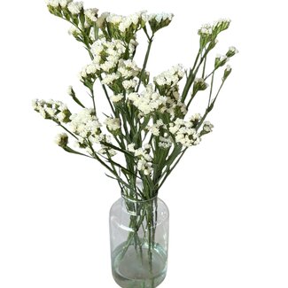 Verse Statice Limonium Sinuata | Kleur: Naturel Wit | Verse Bloemen | Lengte ± 70 centimeter | 5 stelen per bos | Per bos