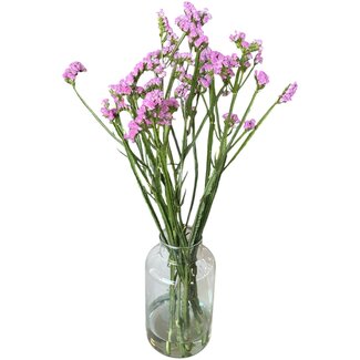 Fresh Pink Statice Limonium Sinuata | Length ± 70 centimetre | Fresh Flowers | 5 stems per bunch | Per bunch