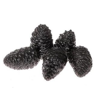 4A Gewaxte Maritima Dennenappels | Kleur: Zwart | Kerst Decoratie | Lengte 12 centimeter | Per 5 dennenappels