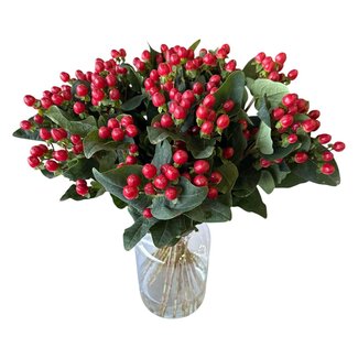 Freshy Verse Hypericum “Cool Romance” | Kleur: Naturel Wit | Verse Bloemen | Lengte ± 50 centimeter | 25 takken per bos | Per bos