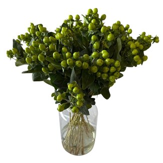 Freshy Verse Hypericum “Lucky Romance” | Kleur: Groen | Verse Bloemen | Lengte ± 50 centimeter | 25 takken per bos | Per bos