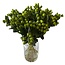 Verse Hypericum “Lucky Romance” | Kleur: Groen | Verse Bloemen | Lengte ± 50 centimeter | 25 takken per bos | Per bos